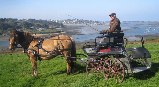 Location de calèche 4 chevaux mariage, festival, carnaval